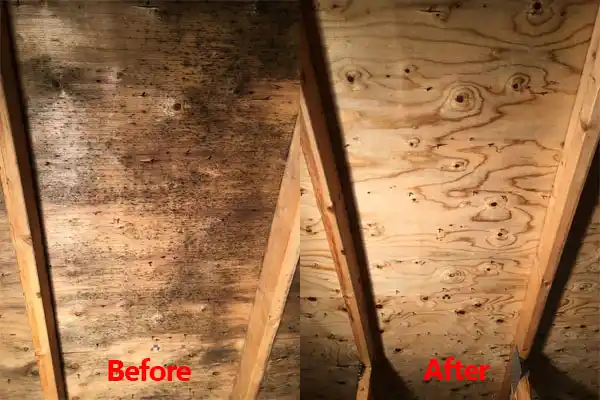 water damage restoration service Sarcoxie